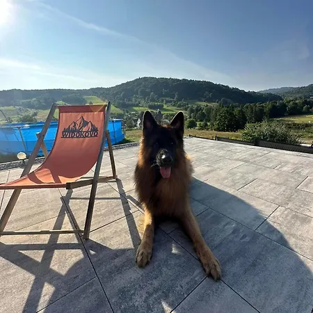 Holiday home Widokovo
