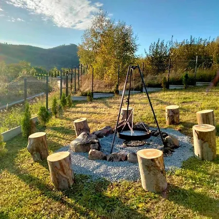Widokovo Laski (Zabkowice Slaskie)